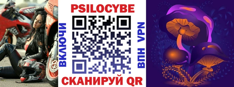 Купить закладки  Томмот  Псилоцибиновые грибы Psilocybine cubensis 