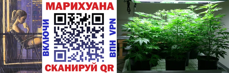 Купить где Томмот Шишки марихуана сатива